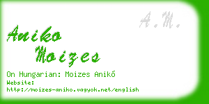aniko moizes business card